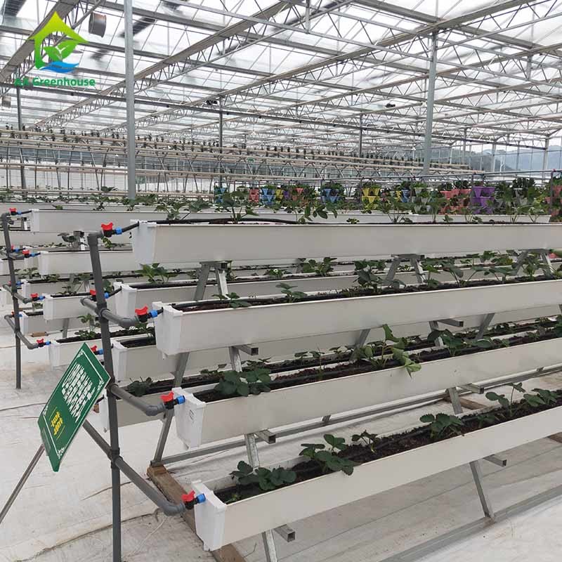 Vertical Farming Soilless Cultivation Hydroponic NFT Square Pipe System