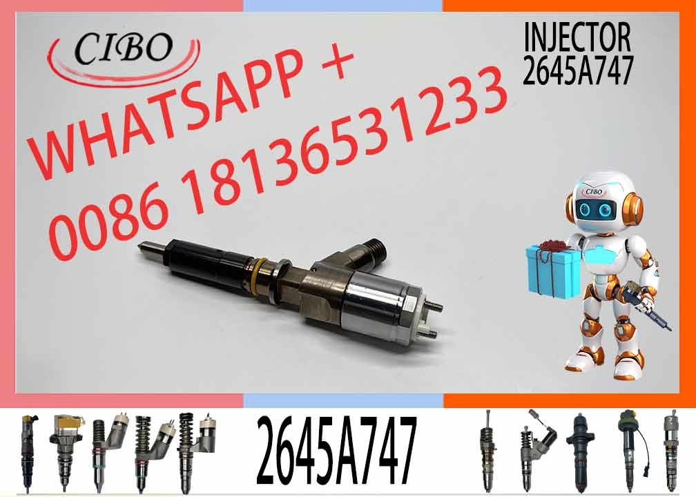 C+C4 C6 fuel injector 295-9130 317-2300 2645A709 295-9130 382-0480 282-0490 320-0677 320-0690 320-0680