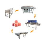 Hot selling China Factory Seller Fruit Vegetable Washer Machine by Huafood