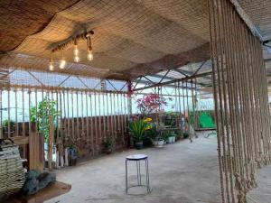 Wholesale ECO Friendly Decoration Panels Privacy Carbonized Natural Reed Outdoor Garden Fencing from china suppliers