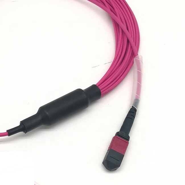 Mutilmode Duplex Simplex OM1 OM2 OM4 MPO MTP