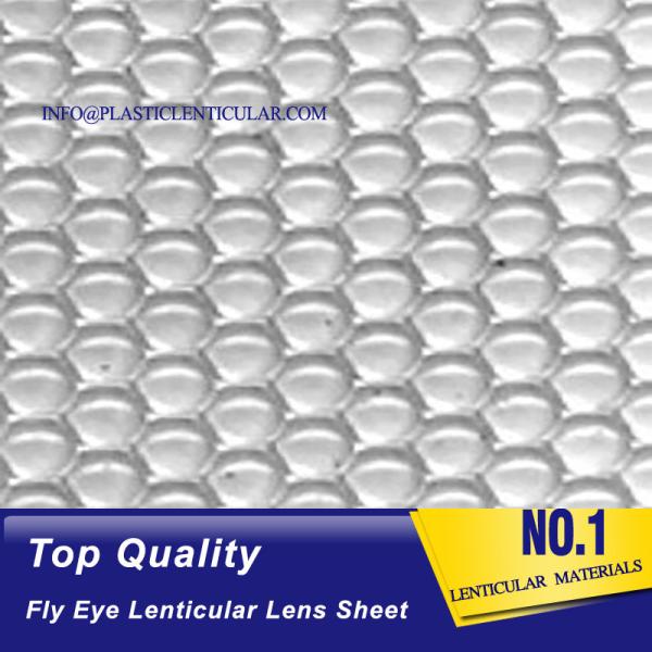 PLASTIC LENTICULAR fly eyes lenses array Lenticular sheet 3d fly eye lens pp