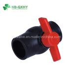 Durable HDPE Pipe Fittings Socket Joint Male Female Adapter for GB Standard