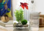 Transparent Fish Tank Tempered Safety Glass High Borosilicate Glass