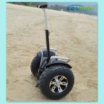 Self Balancing Off Road Segway Scooter 4000w 19 Inch Or 21 Inch