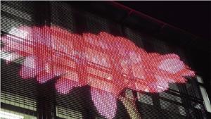 Wholesale IP65 P37 Outdoor Curve Led Video Wall / Rental Flexible Led Display from china suppliers