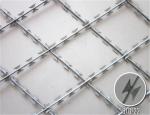 100mm*200mm hole size galvanized Welded Razor Barbed Wire Fence for safety