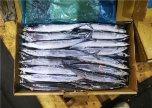 Wholesale #1 Whole Round Pacific Ocean Saury Frozen Sea Fish from china suppliers