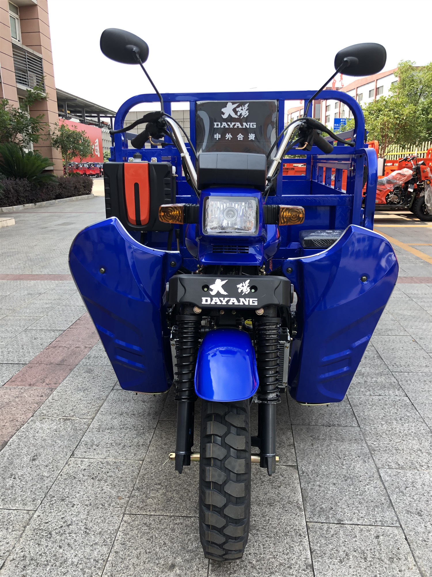 DAYANG Heavy Loading Tricycle 175CC/200CC/250CC Q2 Cargo Tricycles for Cargo Delivery