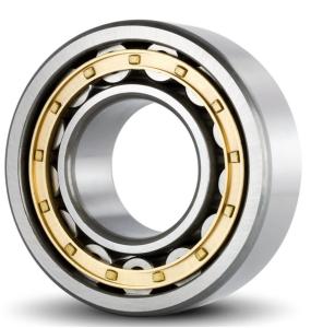 Wholesale N213EM Bearings For Agricultural Machinery , TRB DGBB car axle bearing from china suppliers