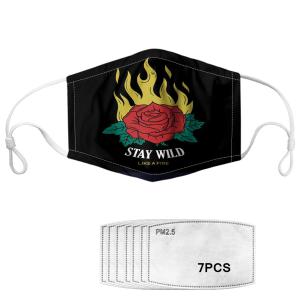 Wholesale Anti Dust Printed Reusable Face Mask from china suppliers