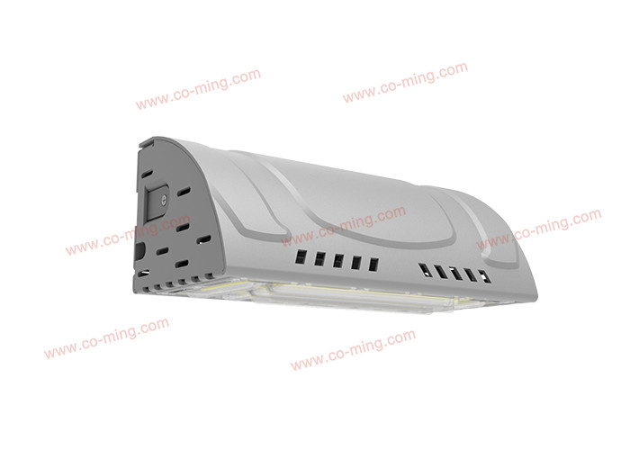 W300 150LM/W 80w IP66 IK10 Industry Led Wall Lamp