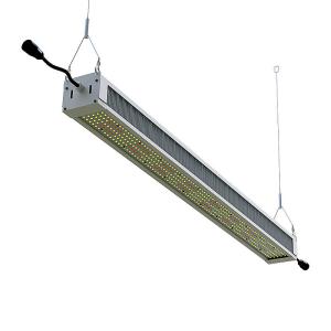 Wholesale Waterproof Commercial LED Flood Lights from china suppliers