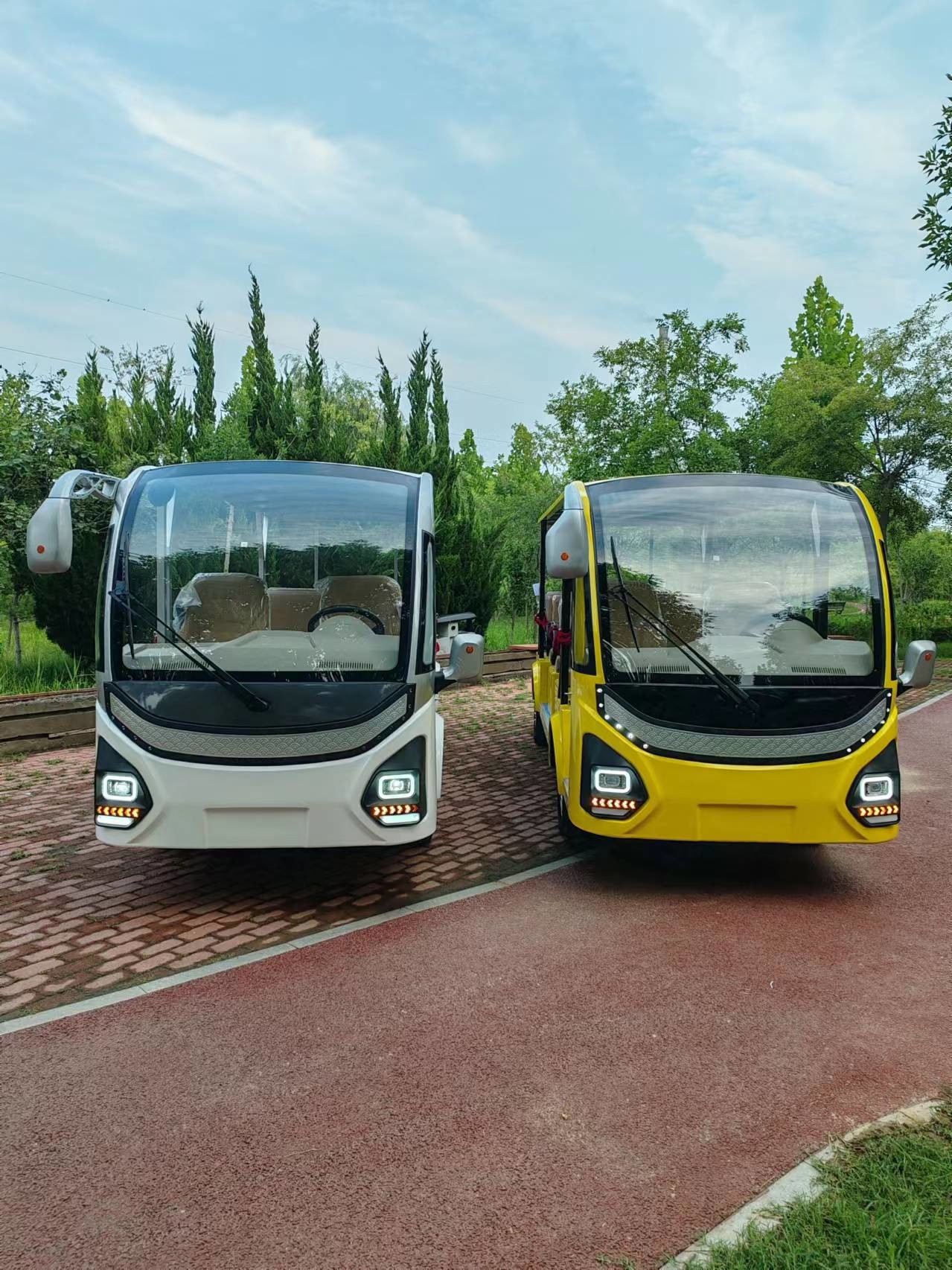 ENPOWER Controller Lead Acid Battery Electric Tour Guide Car Perfect Combination