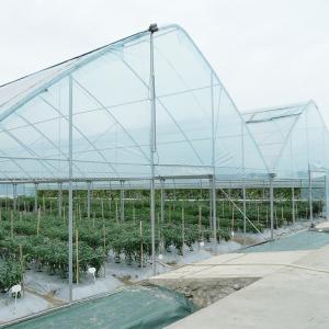 Wholesale Outdoor Plastic Film Poly Tunnel Agricultural Seeding Greenhouse For Sale from china suppliers