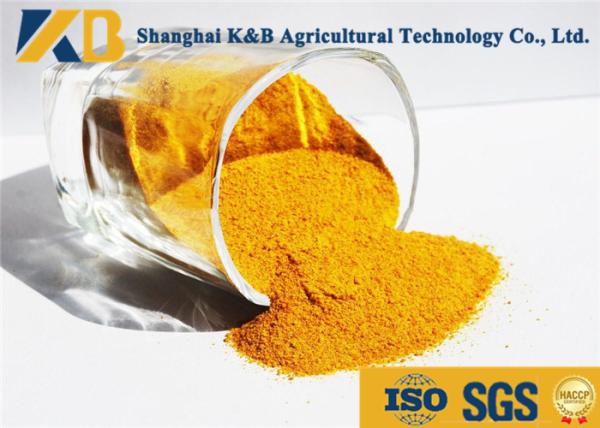 Large Poultry Farm Poultry Protein Meal / Gluten Protein Powder For Higher Egg