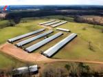 Steel Structure Plant Warehouse Poultry House Commercial Building Steel