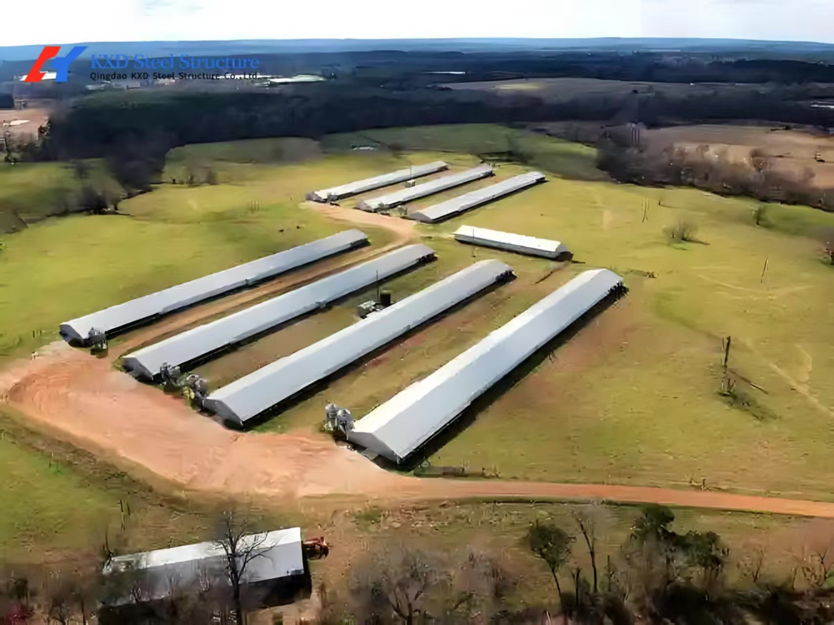 Commercial Building Steel Structure Plant Poultry House For Chicken Shed