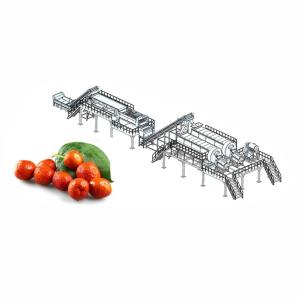 Wholesale 50T/H Jujube Hawthorn Processing Line Food Application from china suppliers