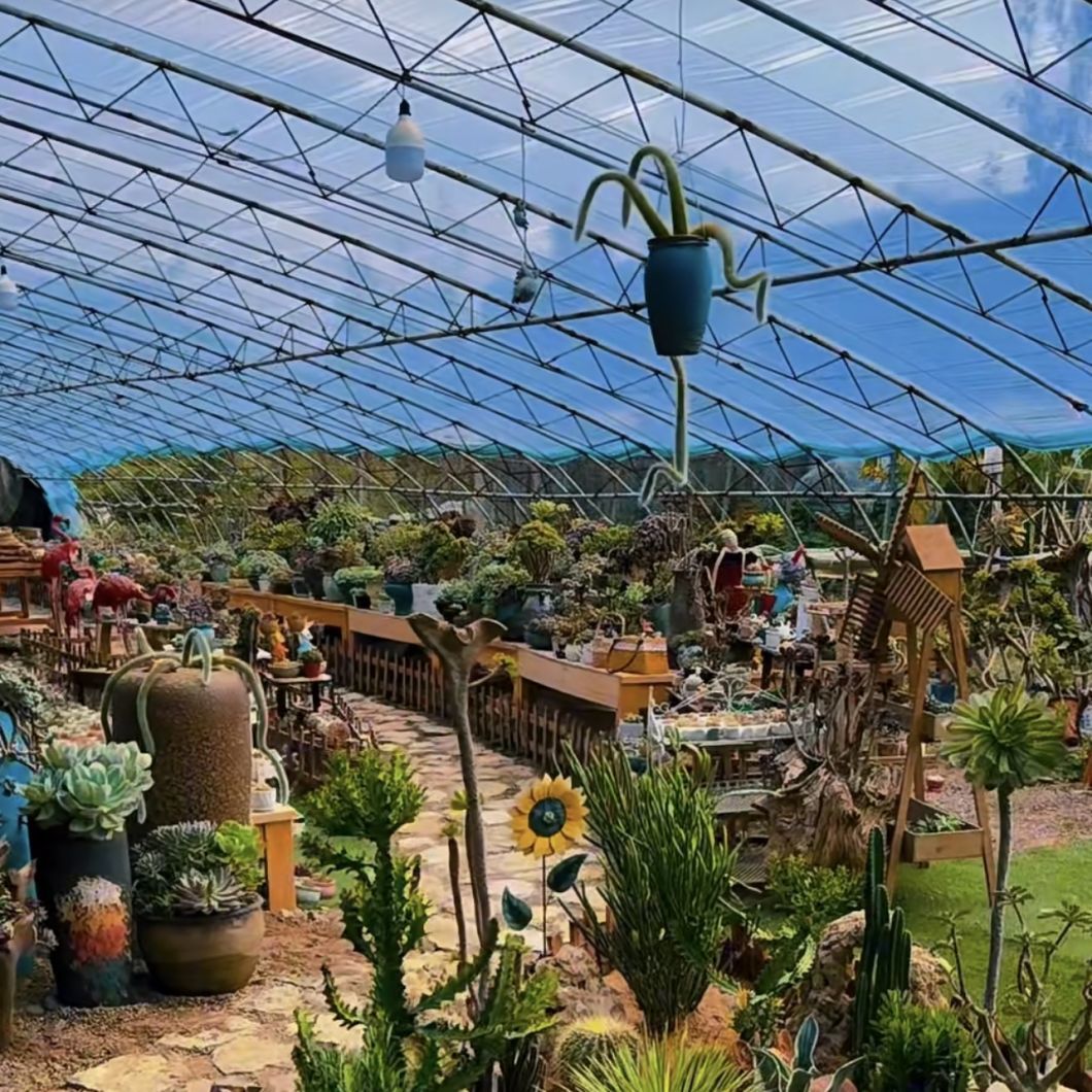 Economical Tunnel Greenhouse Cocopeat Growing System