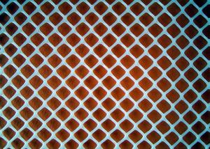 Wholesale PE Plastic Wire Mesh Roll 1-4.5mm Diameter Wear Resisting from china suppliers