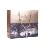 UV Abrazine Printed Paper Shopping Bags Personalized Promotion Gift Bag