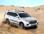 2023 Haval H9 AWD Four Wheel Drive Gasoline Cars for Family 170km/h Fast Off