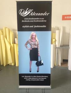 Wholesale PVC Vinyl Fabric Pull Up Banners Advertising Roller Banner 85x200cm 100x200cm from china suppliers