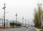 Industrial Safety Hybrid Solar Wind Power Generation System Wind Turbine