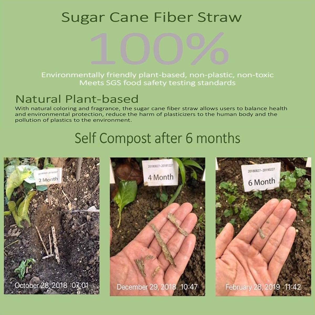 Wholesale Disposable Biodegradables Bagasse Drinking Straws For Party