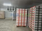 Vegetable Fruit Cold Storage Room 0~10°C Industrial Refrigeration System