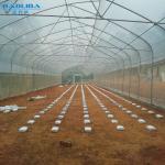 Fruits Growing Agricultural Polyethylene Film Greenhouse Hot Dip Galvanized
