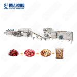 Industrial Fruit Drying Production Line Dehydrator Seafood Fish Drying Machine