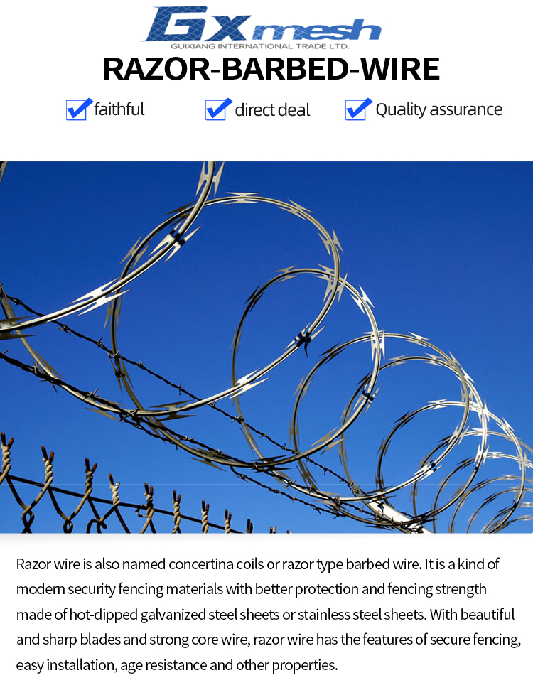 Anti-Climb security mesh fence hot dipped double strand razor blade barbed wire