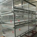 Husbandry Livestock 3 Tier Chicken Cage , HDG 125kgs 208 Broiler Farm Equipment