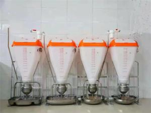 Wholesale Plastic Stainless Steel Automatic Pig Feeder Dry Wet Feeder from china suppliers
