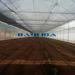 Wholesale Clear UV Treated Film Anti Rust Metal Structure Tunnel Greenhouse from china suppliers