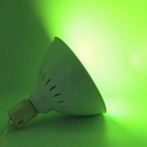 Wholesale Theme Park 138mm 3800lm Pentair Hayward Light Fixture from china suppliers