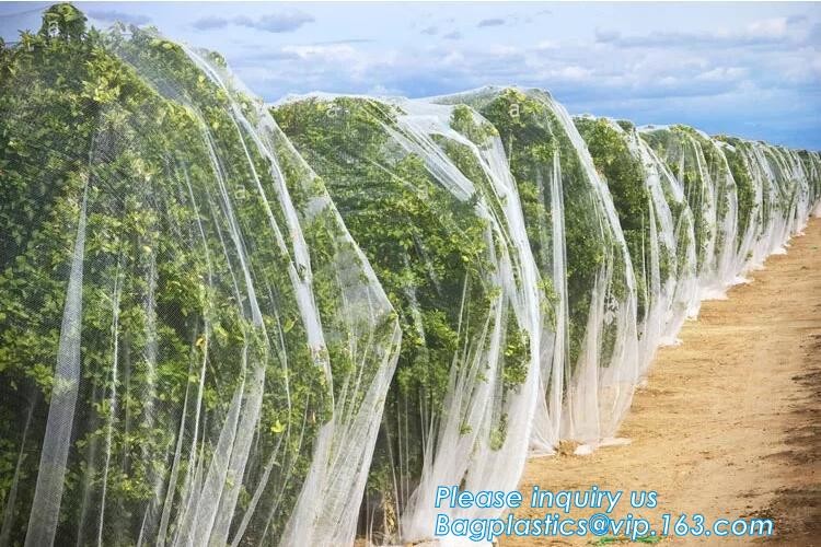 cheap and durable plastic colored anti mosquito netting/window insect screen,Industrial Agricultural Greenhouses use 2m