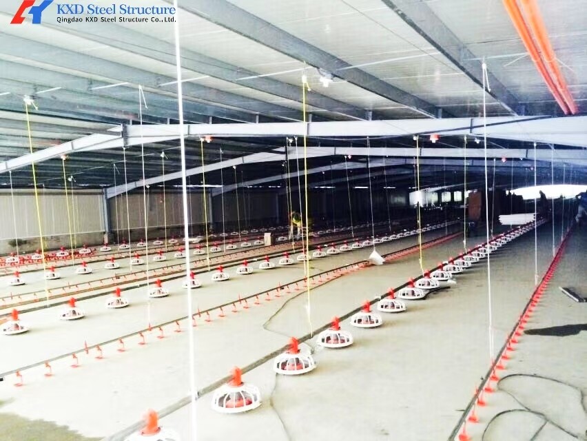 Fully Automatic Complete Chicken Farming House Drinker LIne For Broiler Farm