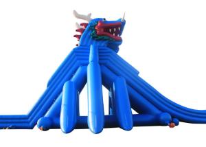 Wholesale Blue Dragon Adult / Kids Inflatable Water Slide High Durability PVC Material from china suppliers