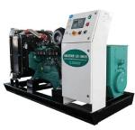 50/60hz Frequency 10kW-1000kW LPG/Wood gas/Biogas/Natural gas Power Generator