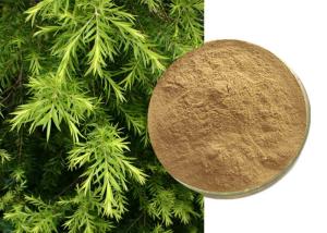 Wholesale Natural Agricultural Cosmetics Artemisia Annua Extract from china suppliers