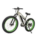Customized Electric Bicycle 48v 500w Full Suspension E Bike with 13 AH Down Tube