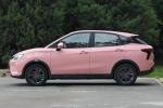 38.88kWh Battery Capacity Lithium Ion Battery Neta EV SUV Ride-On Uesd Cars