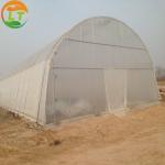 Ventilation Vents for 150/200micro PE Film Covered Greenhouse on Poultry Farm