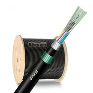 Wholesale 2-144 core GYTS53 GYTA53 underground optical cable SM G652D PE jacket Double Armored long distance communication from china suppliers