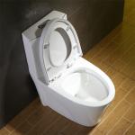 Dual Flush Water Saver Titan Elongated Toilet American Cupc Standard