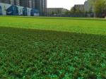 Stable Turf Rubber Infill UV Resistant Cooling Turf Infill For Sports Field