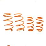 Mazda M3 Star Gallop 2.0L Sport Lowering Springs Steel